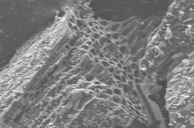 Image 1: Electron imaging of Activated-char Showing pores