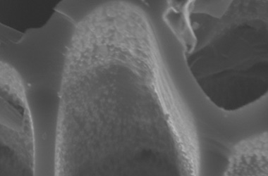 Image 3: Zoom in image on singular pore area